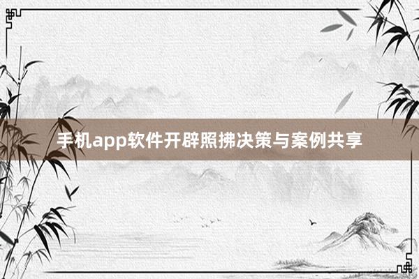 手机app软件开辟照拂决策与案例共享